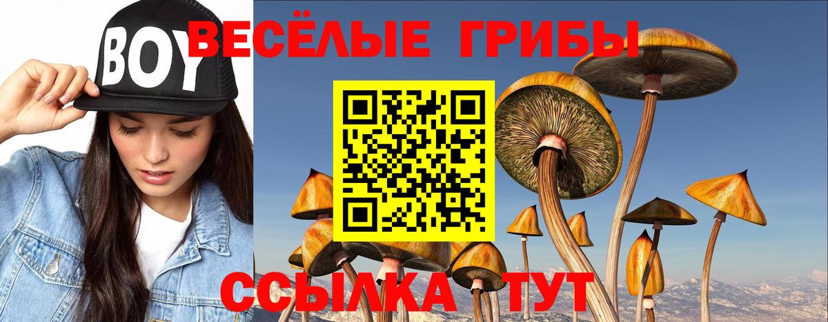 Псилоцибиновые грибы MAGIC MUSHROOMS Надым